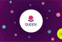 让出海企业跨境支付更轻松,QUPPY的一站式数字支付方案!-EC全球服务